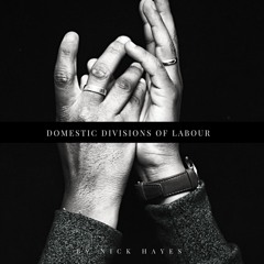 Domestic Division Of Labour