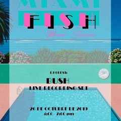Miami Fish Sesion 26 Octubre 2019