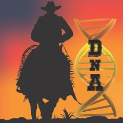 The Night I Called The Old Man Out