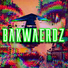 4TH DIMENSIONAL HACKERS - BAKWAERDZ (ORIGINAL MIX)