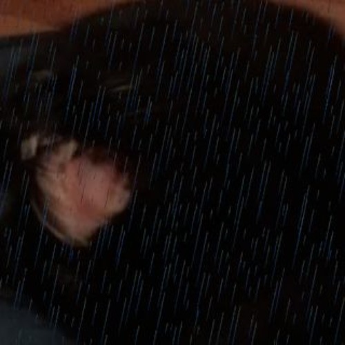 Lost In Rain