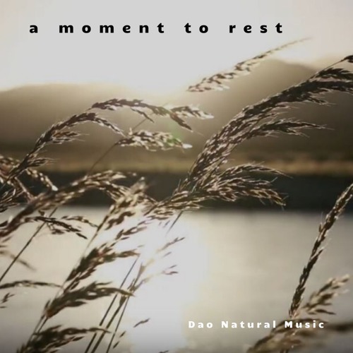 A Moment to Rest