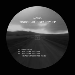 HT004 - Binocular Disparity EP