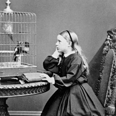 Like a bird in a cage