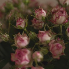 love like that - snoh aalegra (cover)