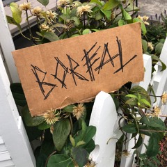 Boreal (Basement Demo)