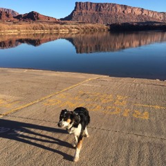 chills and feels VOL. 2