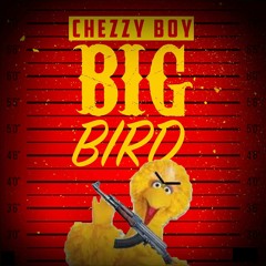 "Big Bird" Radio Mix