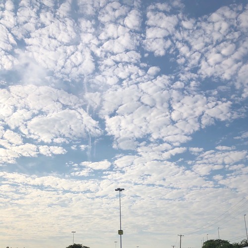 cant u tell (feat. Savage ga$p) (p. jackwiththemac)