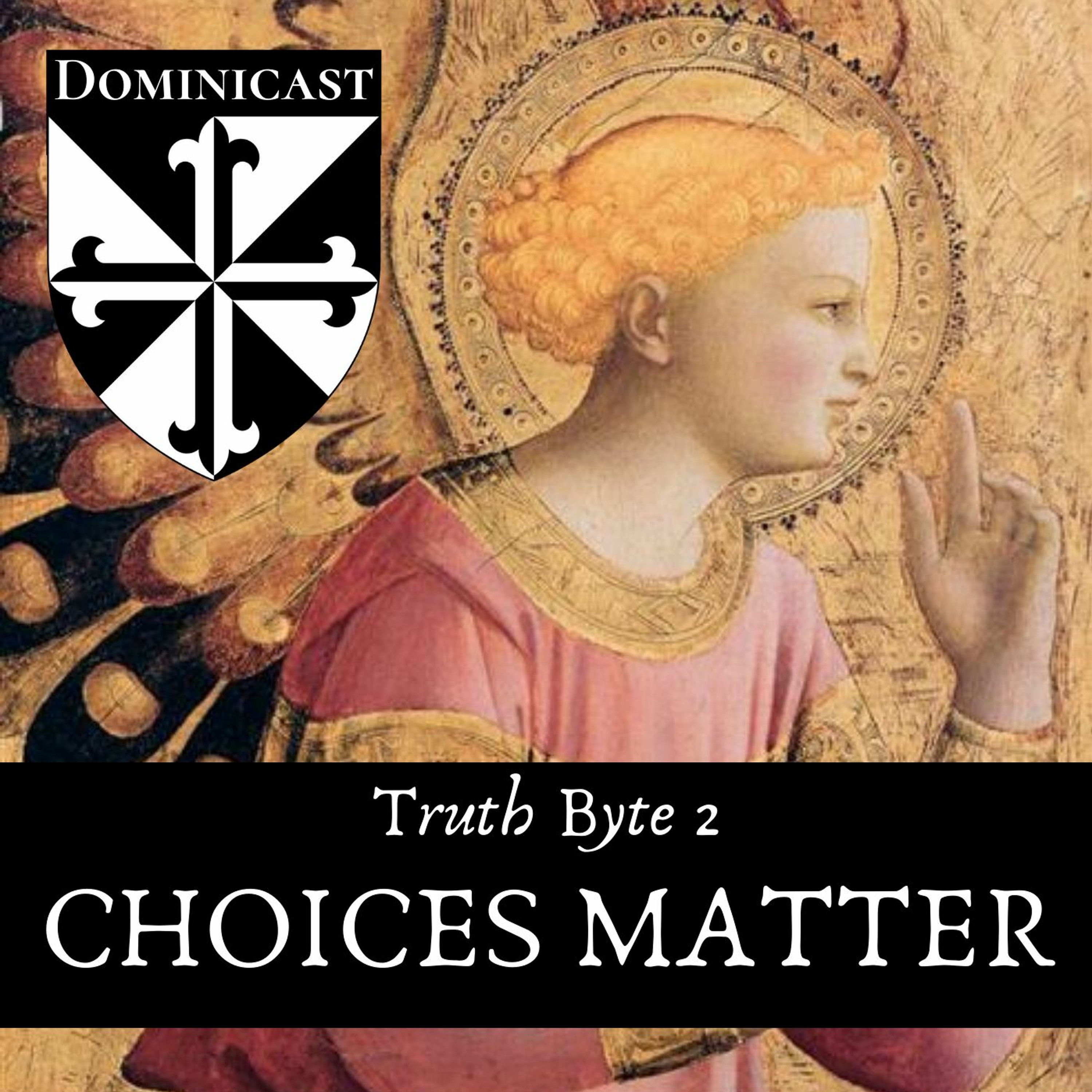 Choices - Truth Byte 2