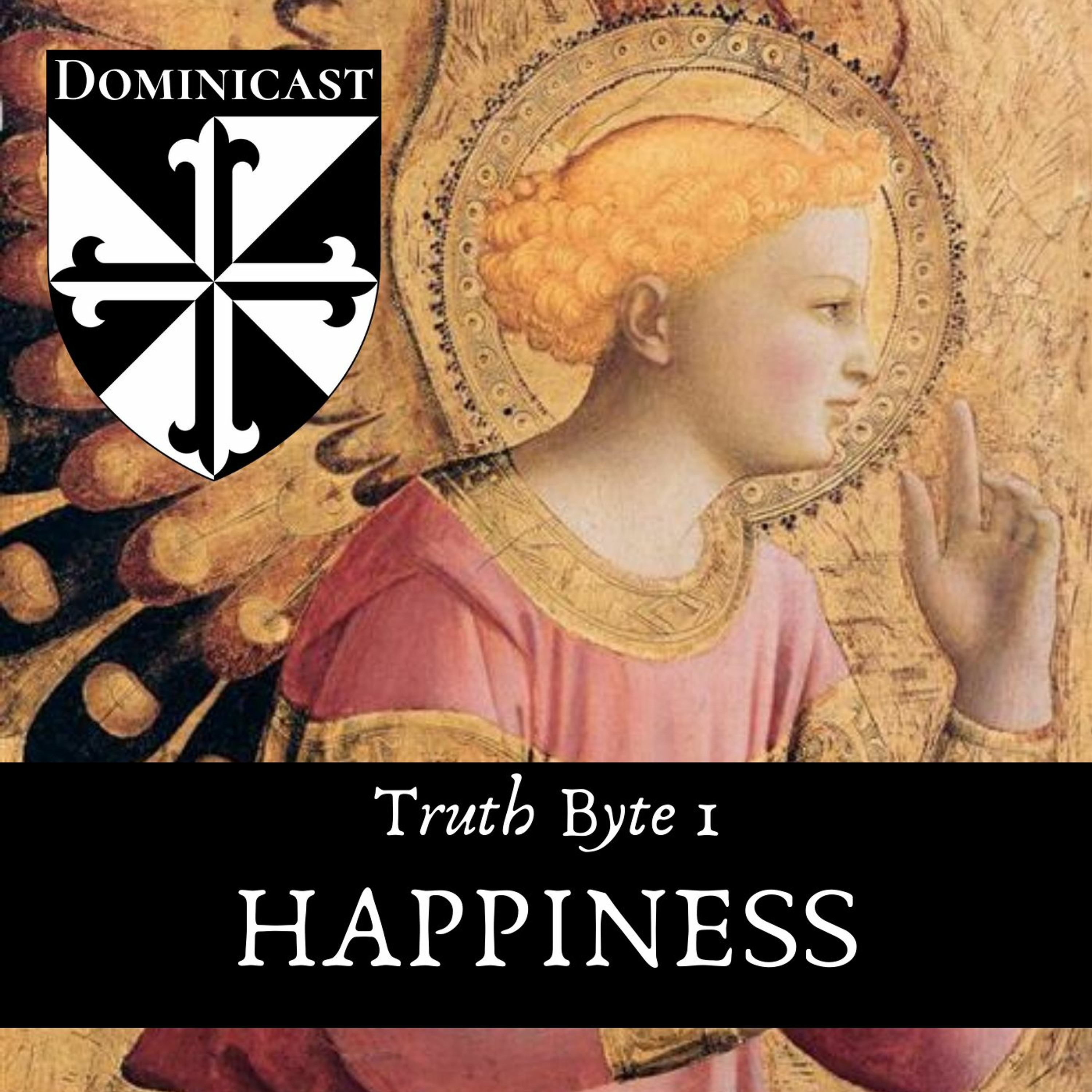 Happiness - Truth Byte 1 episode artwork