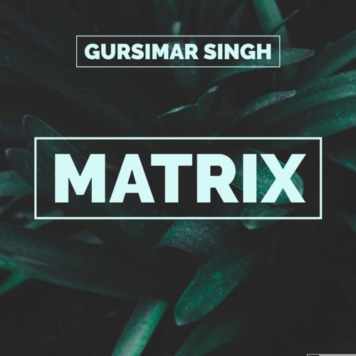 Gursimar - Matrix
