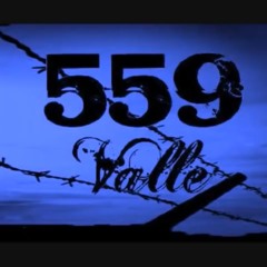 ORANGE COVE 559 (RUN UP)