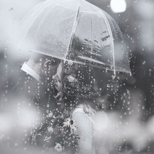 gravity avenue a review