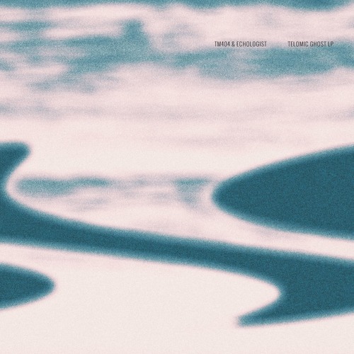 MNMT Premiere: TM404 & Echologist – Vintage