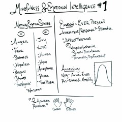 08/14/19 Mike Zittel, Emotional Intelligence 01: 25 min talk, 30 min meditation, 15 Q&A