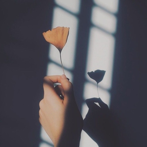 TIA x Lê Thiện Hiếu | Ai Đưa Em Về / Take Me Back Home