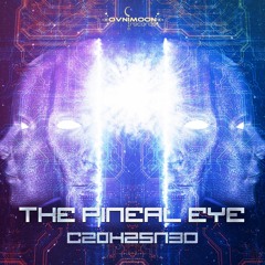 02 - Pineal Eye - Silent Forest