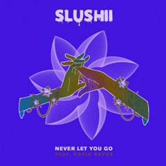 Slushii - Never Let You Go (feat. Sofia Reyes) [LazyDaddy Remix]