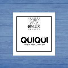 QuiQui - Past Reality (Original mix)