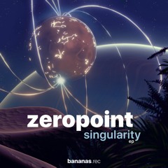 Zeropoint - Magnetic Storm