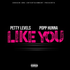 PettyLevels X Popp Hunna - Like You