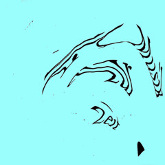 Musik zur Zeit 11/2019