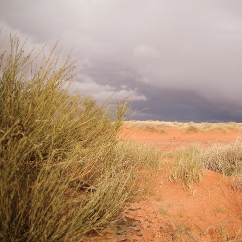 Fleeting Sound 01 - North African Desert, Steppe and Shrubland MONTAGE