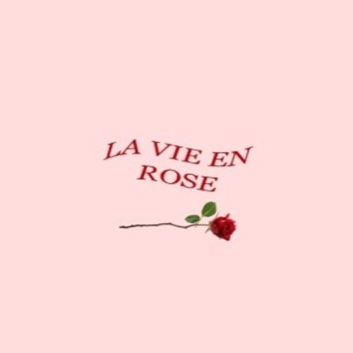 La Vie en Rose streaming: where to watch online?