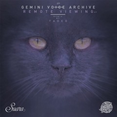 [SUARA377] Gemini Voice Archive - Remote Viewing (Original Mix) Snippet