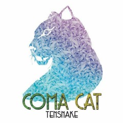 Tensnake X Sosa - Coma DFCW (Dirty Mvss Bootleg)