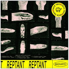 Bazaar 15 || Reptant