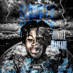 Chimp1k “I’m Bacc”