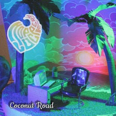 01 Steve The Dolphin