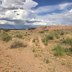 Revelations (Manzy Lowry cover)