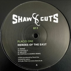 PREMIERE: Placid One - Foothills [Shaw Cuts]