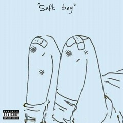 Softboy.mp3