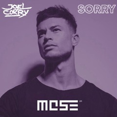 Joel Corry Ft Hayley May - Sorry (MOSE UK Remix)