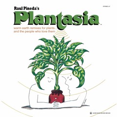 Mort Garson - Plantasia (Remix A)