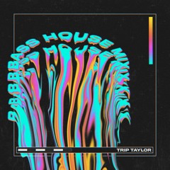 Bass House Mix 2019