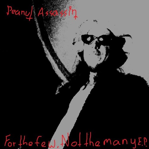Go West Pet Shop Boys Cover By Peanut Assassin