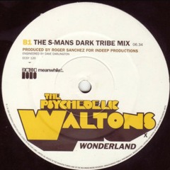 The Psychedelic Waltons - Wonderland (S-Man's Dark Tribe Mix).mp3