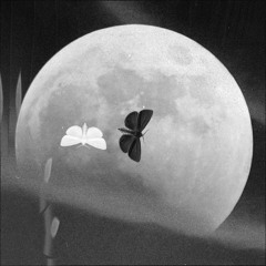 Public Memory - Before I Forget
