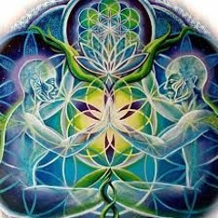 Set progressive #1 [AYAHUASCA]