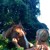 Artwork for All the Wild Horses - Ray LaMontagne