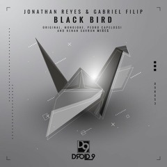 Jonathan Reyes & Gabriel Filip - Black Bird (Kenan Savrun Remix) [Droid9]