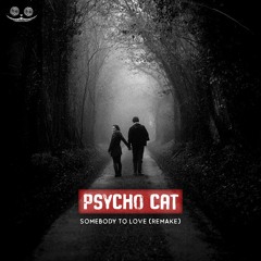 Psycho Cat - Somebody To Love (Remix)