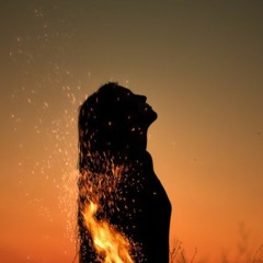 Majid-Salari-Shamo-Shab