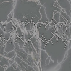 swwwwqqqt - love thru the dms