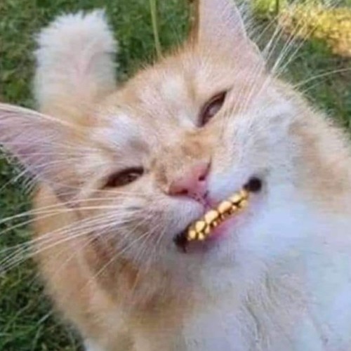 IN DA TREEZ xXx (prod. Dvtchie)
